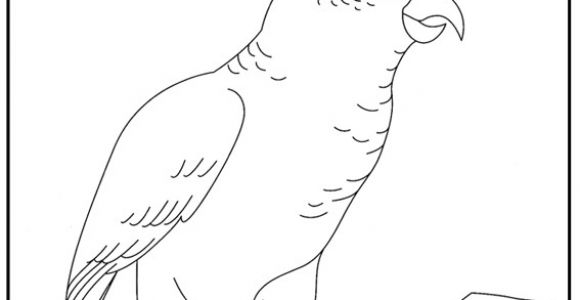 Coloriage Cacatoes Cacatoes Coloriage   Colorier Les Coloriages Et Dessin   Imprimer