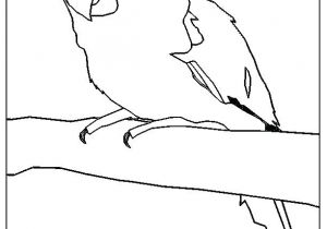 Coloriage Cacatoes Coloriage Cacatoes – Fashionzenfo