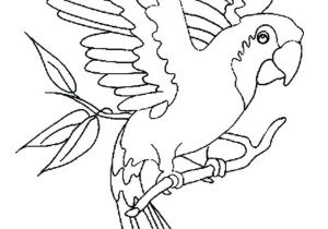 Coloriage Cacatoes Coloriage De Oiseau Dessin Le Cacatoes A Colorier Imprimer