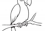 Coloriage Cacatoes Coloriage Perroquet Cacatoes Sur Hugolescargot