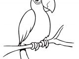 Coloriage Cacatoes Coloriage Perroquet Cacatoes Sur Hugolescargot