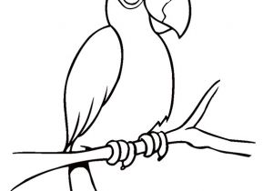 Coloriage Cacatoes Coloriage Perroquet Cacatoes Sur Hugolescargot