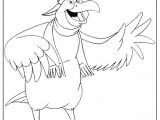 Coloriage Cacatoes Coloriages Dalbatros A Imprimer Coloriage Cacatoes Albatros 05