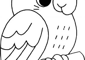 Coloriage Cacatoes Imprimer Coloriage Cacato¨s   Imprimer