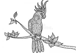 Coloriage Cacatoes Livre De Coloriage De Perroquet De Cacato¨s Pour Le Vecteur D