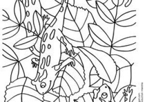 Coloriage Cache Cache à Imprimer 15 Meilleures Images Du Tableau Habileté Spaciale