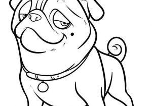 Coloriage Casse Noisette Casse Noisette Coloriage Az Coloriage