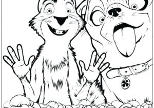 Coloriage Casse Noisette Coloriage Ariol Casse Noisette Coloriage Coloriage Ariol Piwi