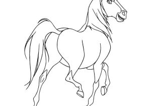 Coloriage Cavalière 898 Best Horse Lover Images On Pinterest