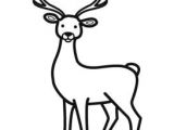 Coloriage Cerf Biche Faon Coloriage Cerf 111 Dessins De Coloriage Cerf   Imprimer Unique