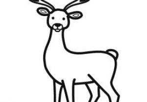 Coloriage Cerf Biche Faon Coloriage Cerf 111 Dessins De Coloriage Cerf   Imprimer Unique