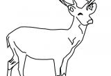 Coloriage Cerf Biche Faon Coloriage Cerf Az Biche Faon A Imprimer Gratuitement