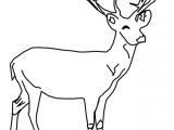 Coloriage Cerf Biche Faon Coloriage Cerf Az Biche Faon A Imprimer Gratuitement