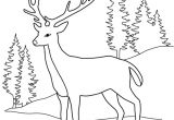 Coloriage Cerf Biche Faon Dessin  Colorier Cerf Biche Faon