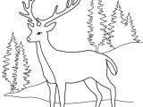 Coloriage Cerf Biche Faon Dessin  Colorier Cerf Biche Faon