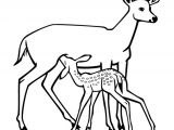 Coloriage Cerf Biche Faon Dessin   Colorier De Maman Biche Et son Petit Faon