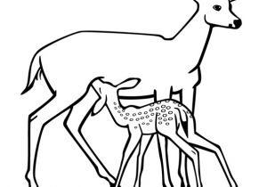 Coloriage Cerf Biche Faon Dessin   Colorier De Maman Biche Et son Petit Faon