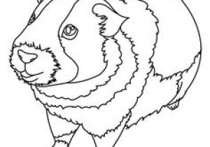 Coloriage Chameau à Imprimer Gratuit 49 Best Coloriages Animaux Domestiques Images On Pinterest Coloriage Chameau à Imprimer Gratuit 49 Best Coloriages Animaux Domestiques Images On Pinterest