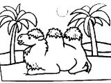 Coloriage Chameau Dans Le Desert Coloriage A Imprimer Chameau Du Desert Gratuit Et Colorier