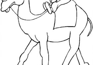 Coloriage Chameau Dans Le Desert Coloriage Chameau 3 Coloriages Animaux Du Désert En Anglais