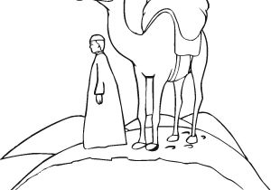 Coloriage Chameau Dans Le Desert Coloriages Chameaux