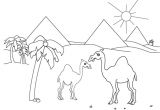 Coloriage Chameau Desert 43 Dessins De Coloriage Dromadaire   Imprimer