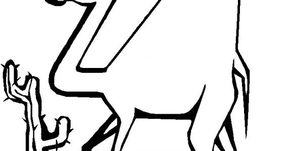 Coloriage Chameau Desert Coloriage Chameau Dans Le Desert Dessin