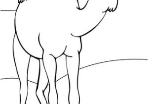 Coloriage Chameau Desert Coloriage Dromadaire Dans Le Désert