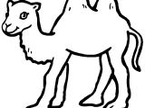 Coloriage Chameau Dromadaire Chameau Animaux – Coloriages   Imprimer