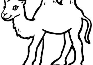 Coloriage Chameau Dromadaire Chameau Animaux – Coloriages   Imprimer