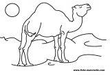 Coloriage Chameau Dromadaire Coloriage Chameau Les Beaux Dessins De Animaux   Imprimer Et Colorier
