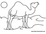 Coloriage Chameau Dromadaire Coloriage Chameau Les Beaux Dessins De Animaux   Imprimer Et Colorier