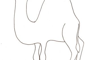 Coloriage Chameau Dromadaire Coloriage D Un Dromadaire Tªte   Modeler