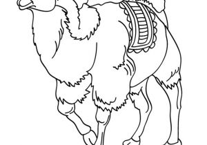 Coloriage Chameau Dromadaire Coloriages De Chameaux Et Dromadaires Coloriages Coloriage  
