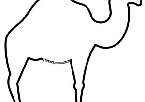 Coloriage Chameau Dromadaire Dromadaire 17 Animaux – Coloriages   Imprimer