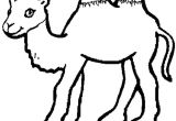 Coloriage Chameau En Ligne Coloriage Bébé Chameau En Ligne Gratuit   Imprimer