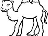 Coloriage Chameau En Ligne Coloriage Bébé Chameau En Ligne Gratuit   Imprimer