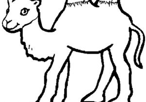 Coloriage Chameau En Ligne Coloriage Bébé Chameau En Ligne Gratuit   Imprimer