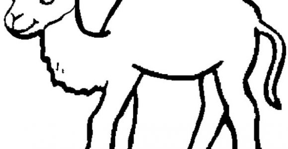 Coloriage Chameau En Ligne Coloriage Bébé Chameau En Ligne Gratuit   Imprimer