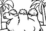 Coloriage Chameau En Ligne Coloriage Chameau En Ligne Gratuit   Imprimer