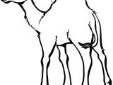 Coloriage Chameau En Ligne Coloriage Chameau Facile Dessin Gratuit   Imprimer