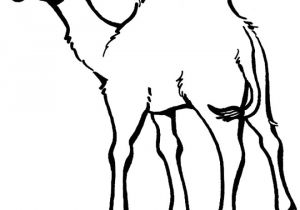 Coloriage Chameau En Ligne Coloriage Chameau Facile Dessin Gratuit   Imprimer