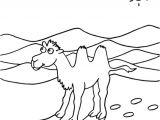 Coloriage Chameau En Ligne Coloriage Dessin Chameau En Ligne Gratuit   Imprimer