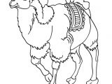 Coloriage Chameau En Ligne Coloriages Chameau   Colorier Fr Hellokids