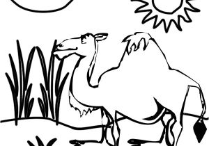 Coloriage Chameau En Ligne Sélection De Coloriage Chameau   Imprimer Sur Laguerche Page 2