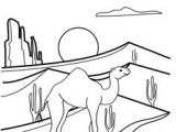 Coloriage Chameau Gratuit Fun Camel Coloring Pages