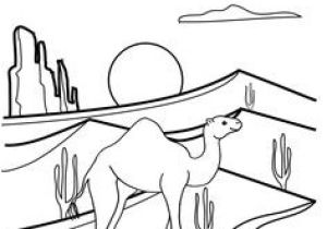 Coloriage Chameau Gratuit Fun Camel Coloring Pages