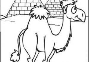 Coloriage Chameau Gratuit Fun Camel Coloring Pages