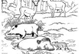 Coloriage Chasse Sanglier Coloriage Zoo Sanglier Sur Hugolescargot