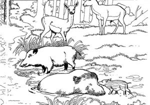 Coloriage Chasseur Sanglier 5 Dessins De Coloriage De Chasse Au Sanglier   Imprimer